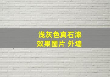 浅灰色真石漆效果图片 外墙